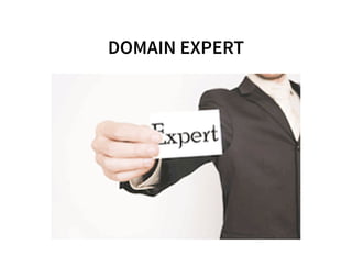 DOMAIN EXPERT
 