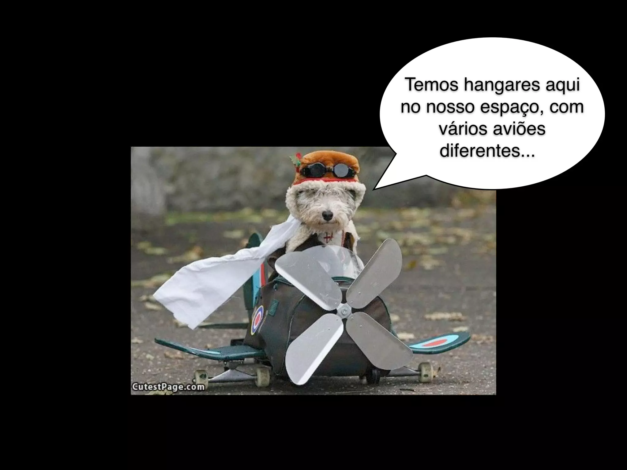 Temos hangares aqui
no nosso espaço, com
vários aviões
diferentes...
 