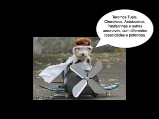 Teremos Tupis,
Cherokees, Aeroboeiros,
Paulistinhas e outras
aeronaves, com diferentes
capacidades e potências.!

 