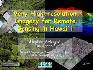 Very High-resolution
Imagery for Remote
 Sensing in Hawai`i
         Stephen Ambagis1
            Jim Jacobi2
  1Hawai`i   Cooperative Studies Unit, UH Hilo
              2U.S. Geological Survey
 