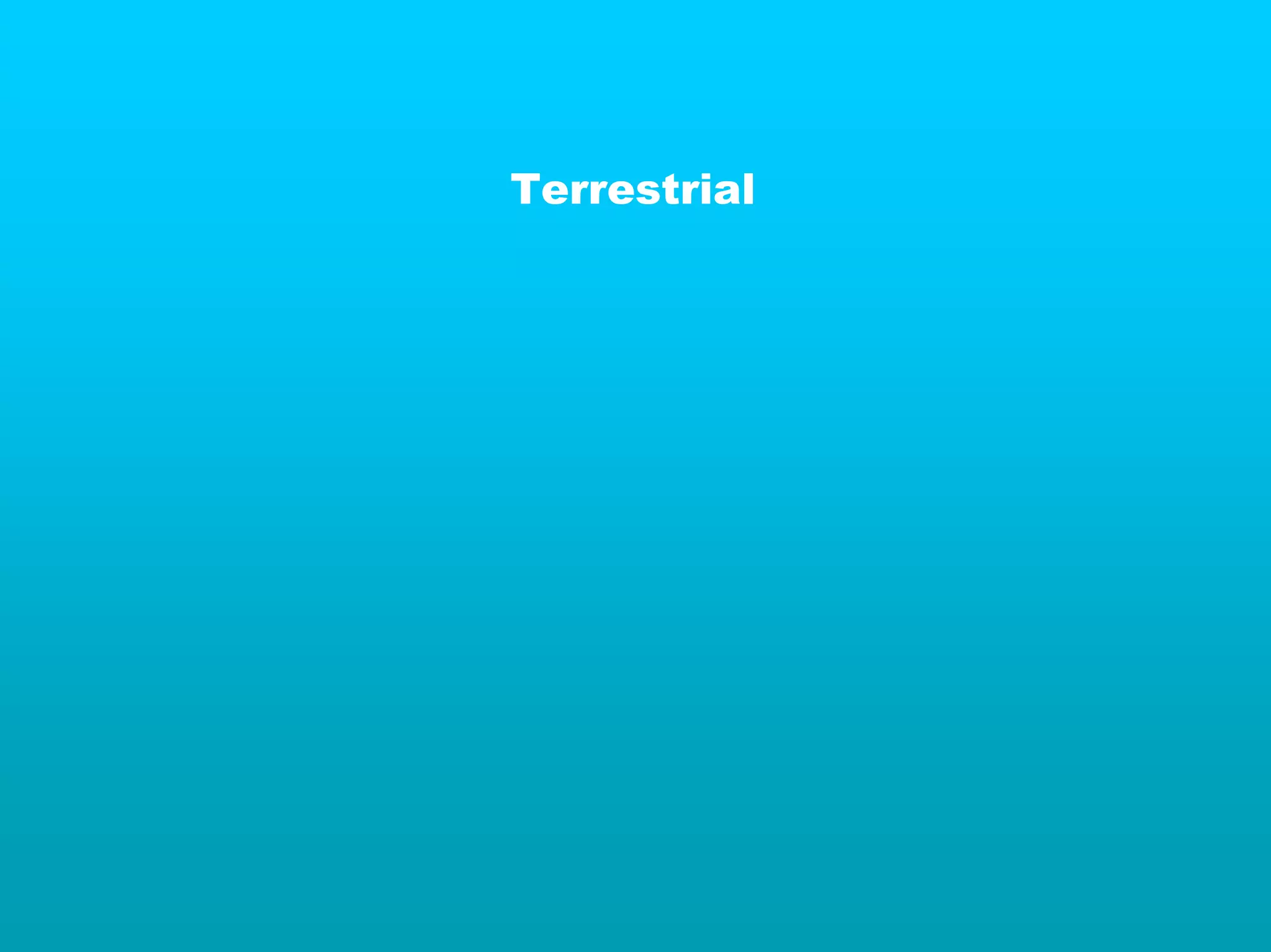 Terrestrial
 