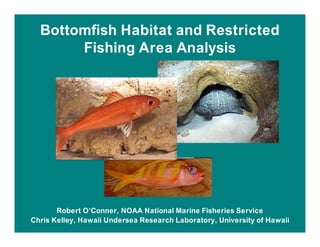 Bottomfish Habitat and Restricted
       Fishing Area Analysis




       Robert O’Conner, NOAA National Marine Fisheries Service
Chris Kelley, Hawaii Undersea Research Laboratory, University of Hawaii
 
