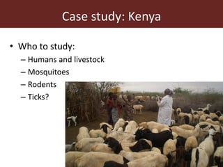 Dynamic drivers of disease emergence in Africa