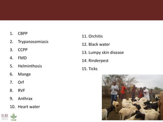 Dynamic drivers of disease emergence in Africa