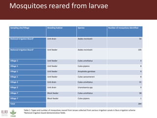 Dynamic drivers of disease emergence in Africa
