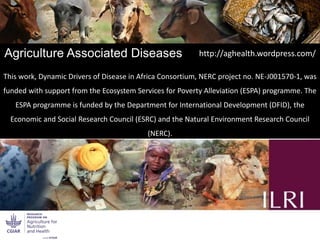 Dynamic drivers of disease emergence in Africa