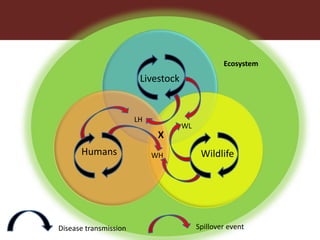 Dynamic drivers of disease emergence in Africa