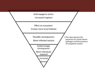 Dynamic drivers of disease emergence in Africa