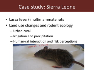 Dynamic drivers of disease emergence in Africa