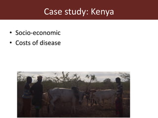 Dynamic drivers of disease emergence in Africa