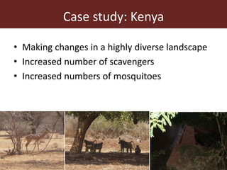 Dynamic drivers of disease emergence in Africa