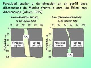 Porosidad capilar y de aireación en un perfil poco diferenciado de Minden frente a otro, de Edina, muy diferenciado. (Ulrich, 1949)  Porosidad capilar Porosidad capilar Sólidos del suelo Sólidos del suelo P.A. P.A. 