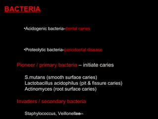 •Acidogenic bacteria-dental caries
•Proteolytic bacteria-periodontal disease
BACTERIA
Pioneer / primary bacteria – initiate caries
S.mutans (smooth surface caries)
Lactobacillus acidophilus (pit & fissure caries)
Actinomyces (root surface caries)
Invaders / secondary bacteria
Staphylococcus, VeillonellaeDr. Ram
 