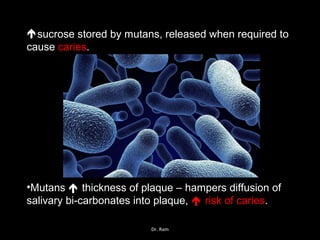 sucrose stored by mutans, released when required to
cause caries.
•Mutans  thickness of plaque – hampers diffusion of
salivary bi-carbonates into plaque,  risk of caries.
Dr. Ram
 