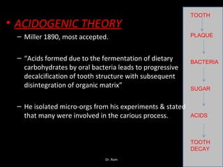• ACIDOGENIC THEORY
– Miller 1890, most accepted.
– “Acids formed due to the fermentation of dietary
carbohydrates by oral bacteria leads to progressive
decalcification of tooth structure with subsequent
disintegration of organic matrix”
– He isolated micro-orgs from his experiments & stated
that many were involved in the carious process.
TOOTH
PLAQUE
BACTERIA
SUGAR
ACIDS
TOOTH
DECAY
Dr. Ram
 