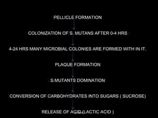 PELLICLE FORMATION
COLONIZATION OF S. MUTANS AFTER 0-4 HRS
4-24 HRS MANY MICROBIAL COLONIES ARE FORMED WITH IN IT.
PLAQUE FORMATION
S.MUTANTS DOMINATION
CONVERSION OF CARBOHYDRATES INTO SUGARS ( SUCROSE)
RELEASE OF ACID (LACTIC ACID )Dr. Ram
 