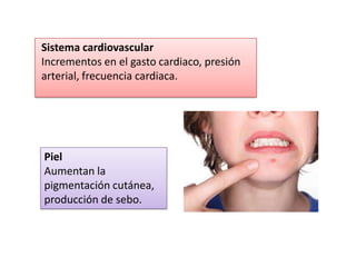 Sistema cardiovascular
Incrementos en el gasto cardiaco, presión
arterial, frecuencia cardiaca.




Piel
Aumentan la
pigmentación cutánea,
producción de sebo.
 