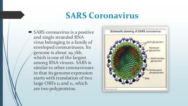 Severe Acute Respiratory Syndrome SARS  