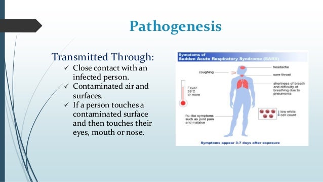 sars severe acute respiratory syndrome and 2018-06-11 sars, or severe acute respiratory syndrome, is the disease caused by sars coronavirus it causes an often severe illness marked initially by systemic symptoms of muscle pain, headache, and fever, followed in 2–14 days by the. sars severe acute respiratory syndrome and 2018-06-11 sars, or severe acute respiratory syndrome, is the disease caused by sars coronavirus it causes an often severe illness marked initially by systemic symptoms of muscle pain, headache, and fever, followed in 2–14 days by the.