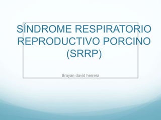 SÍNDROME RESPIRATORIO 
REPRODUCTIVO PORCINO 
(SRRP) 
Brayan david herrera 
 