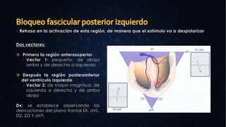  Retraso en la activación de esta región, de manera que el estímulo va a despolarizar
Dos vectores:
 Primero la región anterosuperior
- Vector 1: pequeño, de abajo
arriba y de derecha a izquierda.
 Después la región posteroinferior
del ventrículo izquierdo
- Vector 2: de mayor magnitud, de
izquierda a derecha y de arriba
abajo
Dx: se establece observando las
derivaciones del plano frontal DI, aVL,
D2, D3 Y aVF.
 