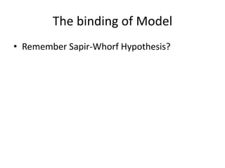 The binding of Model
• Remember Sapir-Whorf Hypothesis?
 