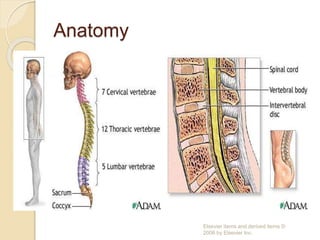 Degenerative disease of the spine