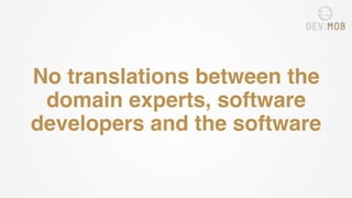 No translations between the
domain experts, software
developers and the software
 