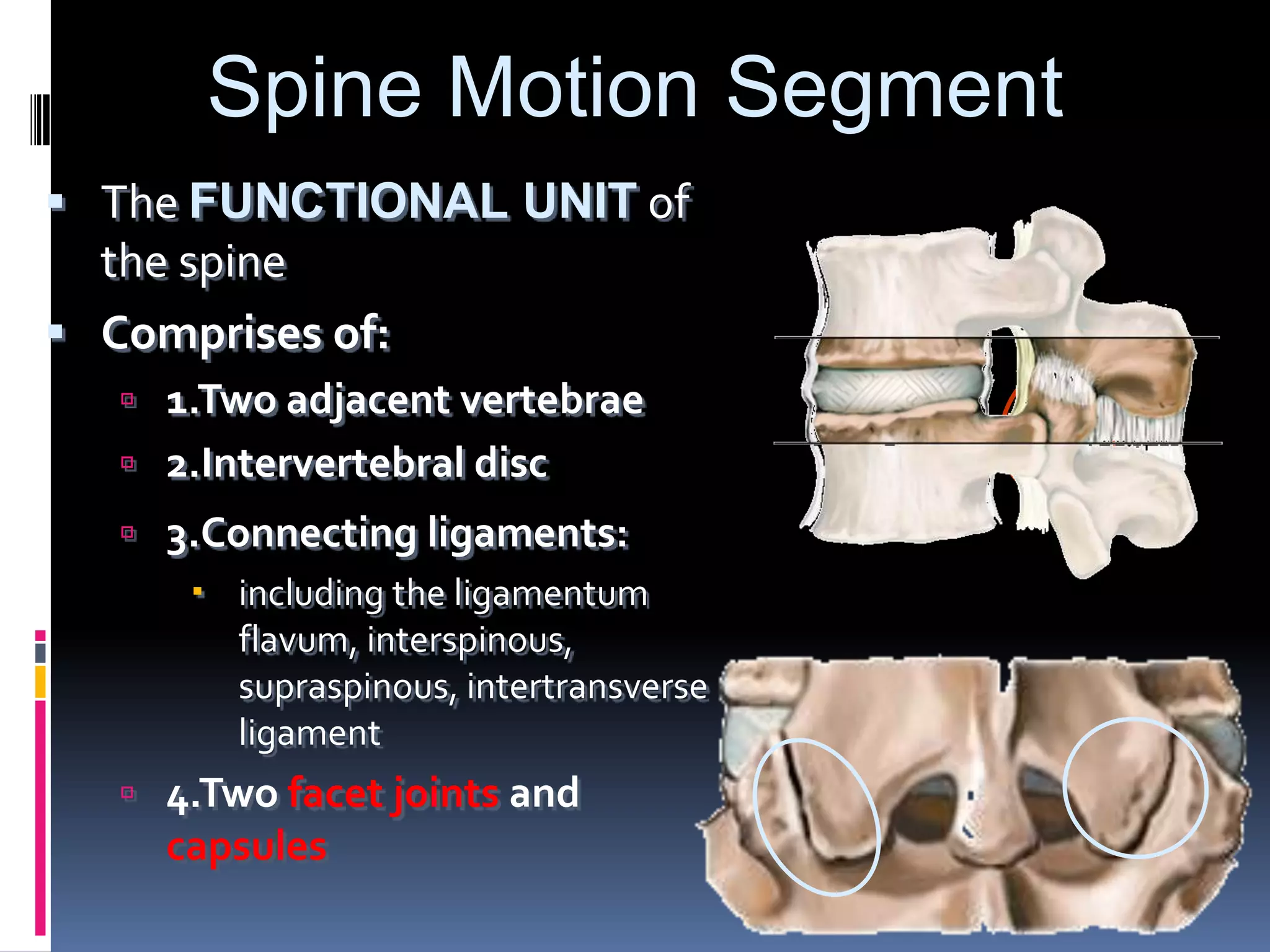 Spine Motion Segment
 The FUNCTIONAL UNIT of
the spine
 Comprises of:
 1.Two adjacent vertebrae
 2.Intervertebral disc
 3.Connecting ligaments:
 including the ligamentum
flavum, interspinous,
supraspinous, intertransverse
ligament
 4.Two facet joints and

capsules

 