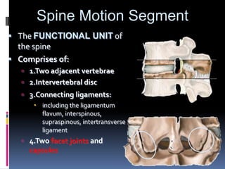 Spine Motion Segment
 The FUNCTIONAL UNIT of
the spine
 Comprises of:
 1.Two adjacent vertebrae
 2.Intervertebral disc
 3.Connecting ligaments:
 including the ligamentum
flavum, interspinous,
supraspinous, intertransverse
ligament
 4.Two facet joints and

capsules

 