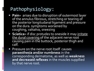 Pathophysiology:
 Pain= arises due to disruption of outermost layer
of the annulus fibrosus, stretching or tearing of

the posterior longitudanal ligament and pressure
on the dura. symptoms worsened by
coughing, valsalva, sneezing
 Sciatica= if disc protudes to oneside it may irritate
the dural covering of the adjacent nerve root
causing pain in the buttock, posterior thigh and
calf.
 Pressure on the nerve root itself causes
paraesthesia and/or numbness in the
corresponding dermatome, as well as weakness
and decreased reflexes in the muscles suppllied
by that nerve root.

 