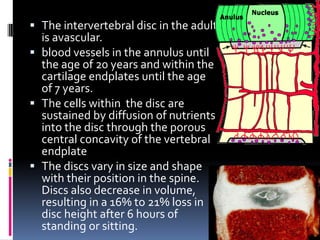 The intervertebral disc in the adult
is avascular.
 blood vessels in the annulus until
the age of 20 years and within the
cartilage endplates until the age
of 7 years.
 The cells within the disc are
sustained by diffusion of nutrients
into the disc through the porous
central concavity of the vertebral
endplate
 The discs vary in size and shape
with their position in the spine.
Discs also decrease in volume,
resulting in a 16% to 21% loss in
disc height after 6 hours of
standing or sitting.

 