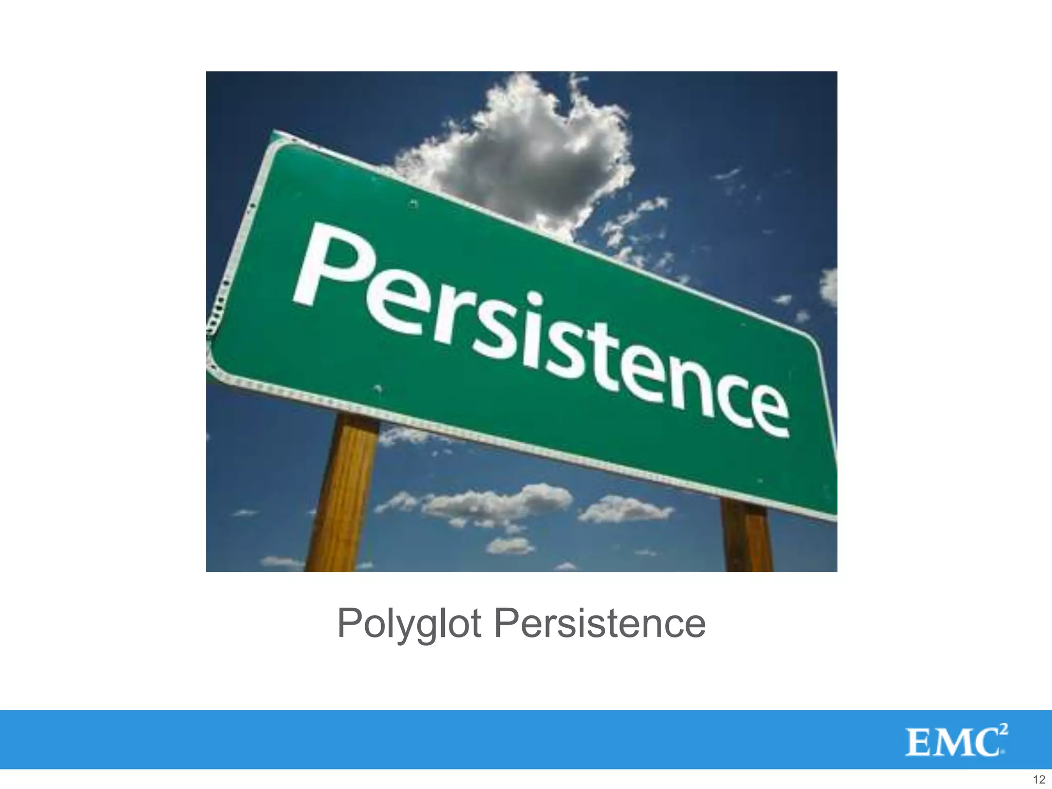 Polyglot Persistence


                       12
 