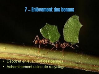 7 – Enlèvement des bennes7 – Enlèvement des bennes
• Dépôt et enlèvement des bennes
• Acheminement usine de recyclage
 