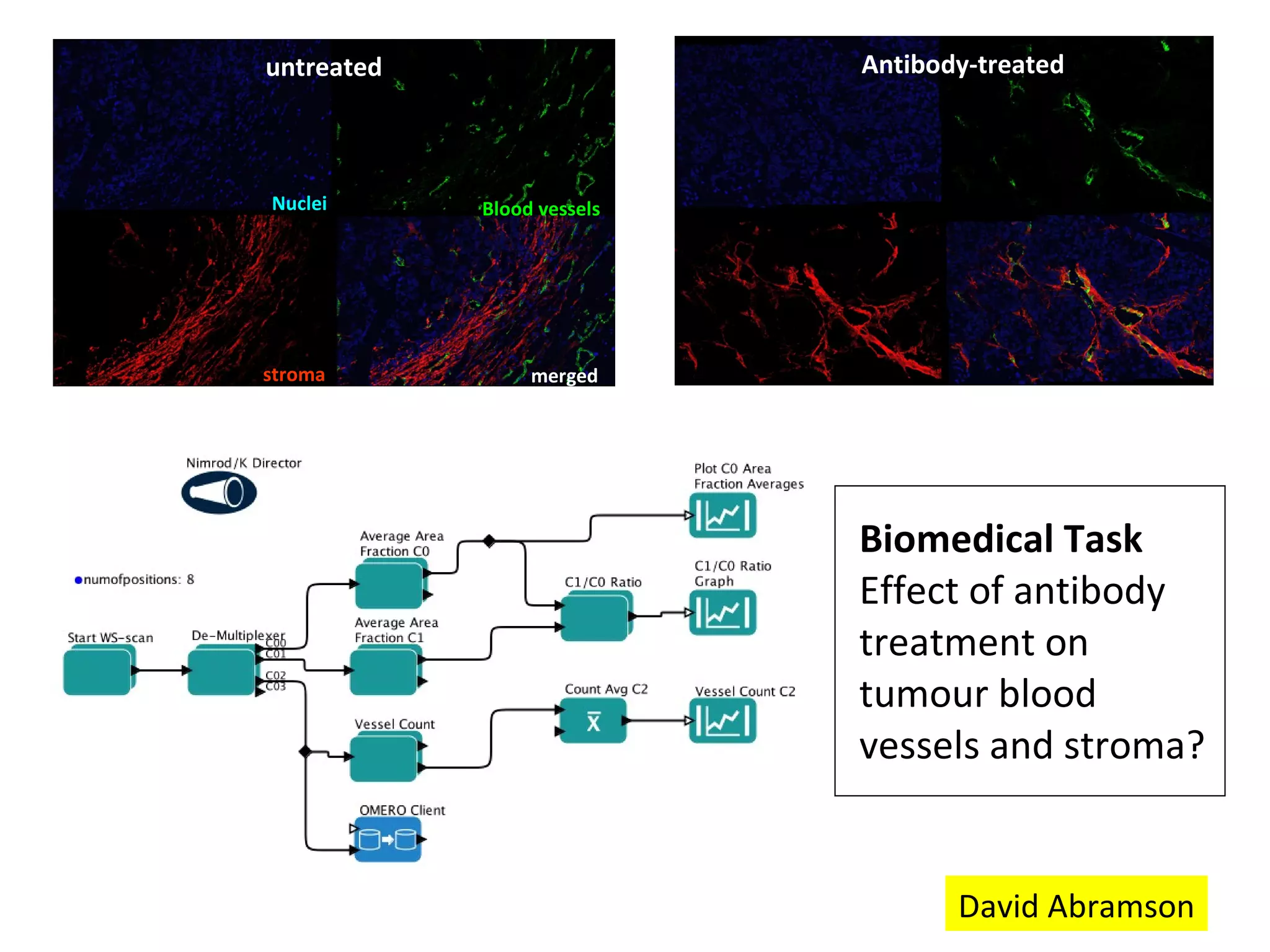 Biomedical Task Effect of antibody treatment on tumour blood vessels and stroma?  Define tissue-containing area on slide-> nucleated area Define relative stromal area (ratio: stroma/nuclei) Define number of blood vessels David Abramson Antibody-treated untreated Nuclei Blood vessels stroma merged 