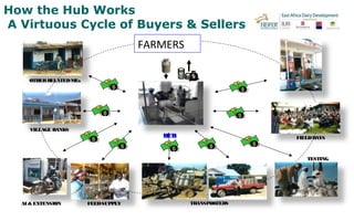 Overview of East Africa Dairy Development in Tanzania