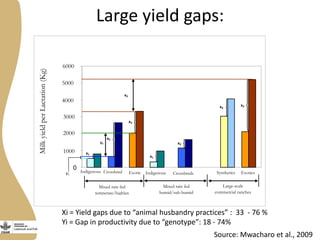 Thoughts on promoting inclusiveness in dairy development 