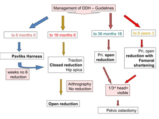 ddh-ppt1-pptx-developmental-dysplasia-of-the-hip-by-mr-tawfeeg-pptx