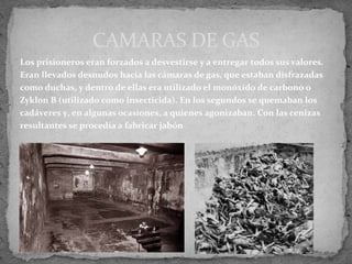 Los prisioneros eran forzados a desvestirse y a entregar todos sus valores.
Eran llevados desnudos hacia las cámaras de gas, que estaban disfrazadas
como duchas, y dentro de ellas era utilizado el monóxido de carbono o
Zyklon B (utilizado como insecticida). En los segundos se quemaban los
cadáveres y, en algunas ocasiones, a quienes agonizaban. Con las cenizas
resultantes se procedía a fabricar jabón
CAMARAS DE GAS
 