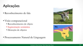 Aplicações
• Reconhecimento de fala
• Visão computacional
• Reconhecimento de objeto
• Segmentação semântica
• Detecção de objetos
• Processamento Natural de Linguagem
29Introdução à Deep Learning - Walter Hugo Lopez Pinaya
 