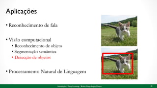 Aplicações
• Reconhecimento de fala
• Visão computacional
• Reconhecimento de objeto
• Segmentação semântica
• Detecção de objetos
• Processamento Natural de Linguagem
30Introdução à Deep Learning - Walter Hugo Lopez Pinaya
 