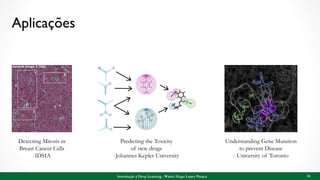 Aplicações
34
Detecting Mitosis in
Breast Cancer Cells
-IDSIA
Predicting the Toxicity
of new drugs
-Johannes Kepler University
Understanding Gene Mutation
to prevent Disease
- University of Toronto
Introdução à Deep Learning - Walter Hugo Lopez Pinaya
 