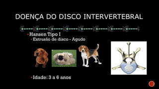 Hansen Types Doença do disco intervertebral - med veterinária | PDF