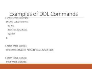 DDL_DML_Presentation[svsdvsvdsfdf1].pptx