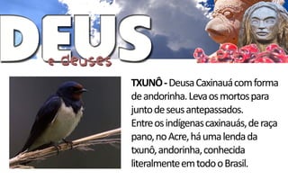 TXUNÔ - Deusa Caxinauá com forma
de andorinha. Leva os mortos para
junto de seus antepassados.
Entre os indígenas caxinauás, de raça
pano, no Acre, há uma lenda da
txunô, andorinha, conhecida
literalmente em todo o Brasil.
 