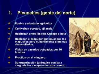 Picunches (gente del norte) Pueblo sedentario agricultor Cultivaban porotos, ají, maíz Habitaban entre los ríos Choapa e Itata Hablaban el Mapudungun igual que los mapuches pero culturalmente eran mas desarrollados Vivían en caseríos ocupados por 10 familias Practicaron el mingaco  Su organización jerárquica estaba a cargo de los caciques de cada caserío 