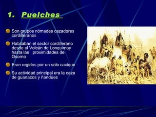 Puelches  Son grupos nómades cazadores cordilleranos Habitaban el sector cordillerano desde el Volcán de Lonquimay hasta las   proximidades de Osorno   Eran regidos por un solo cacique Su actividad principal era la caza de guanacos y ñandúes 