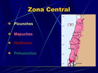 Zona Central Picunches Mapuches Huilliches Pehuenches 