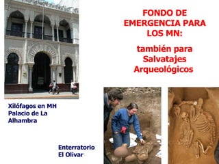 FONDO DE EMERGENCIA PARA LOS MN: también para Salvatajes Arqueológicos  Xilófagos en MH Palacio de La Alhambra Enterratori...