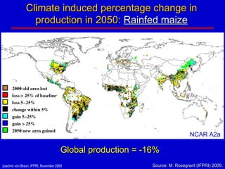 Climate induced percentage change in production in 2050:  Rainfed maize Source: M. Rosegrant (IFPRI) 2009. NCAR A2a Global production = -16% 